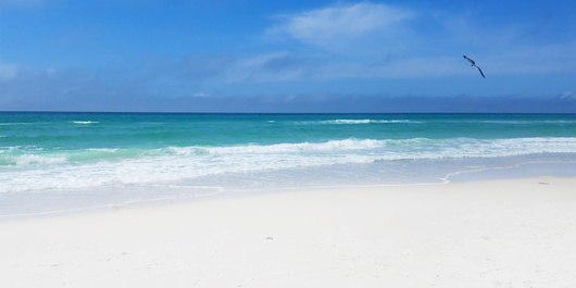 Horizon South 38B Photo