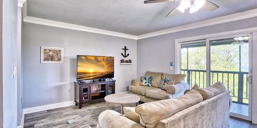 Sea Shell 28 Photo