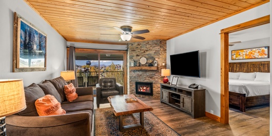 Ski Inn 332 Photo