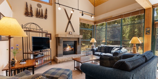 Ski Tip #8730 Photo