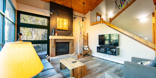 Ski Tip #8708 Photo