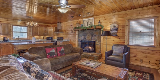 Country Cabin in the City Photo