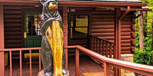 Country Cabin in the City Photo
