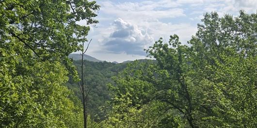 Hills Hideaway Photo