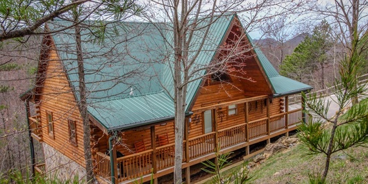 Giddy Up Cabin Photo