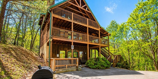 Hilltop Bearadise Photo