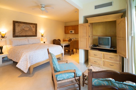 Villa Buena Vida