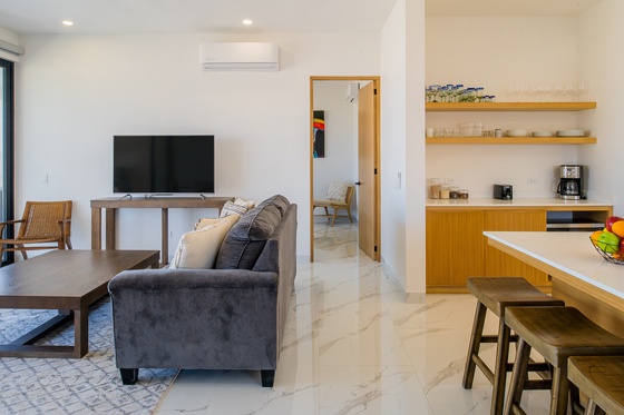 Montemar Luxury Hotel Residences at Pedregal Unit 503