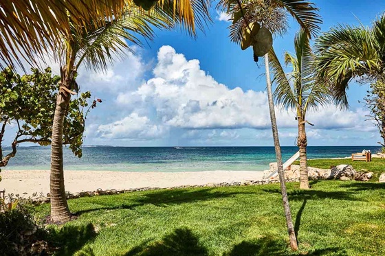 Beach Escape