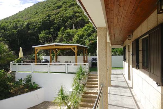 Estrela