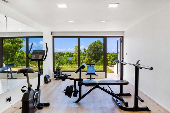 Wellness