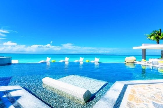 Le Reve