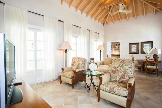 Chateau des Palmiers