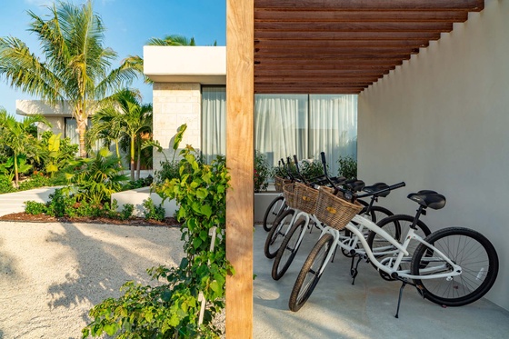 Dune House