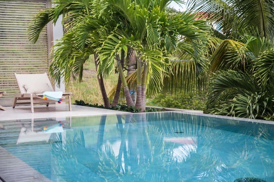 PALM