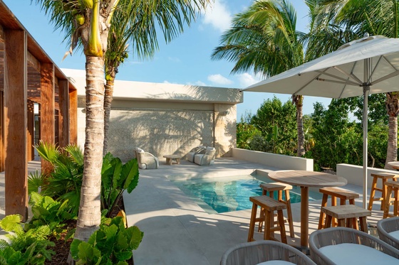 Dune House