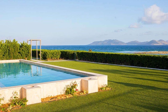 Champagne Shores