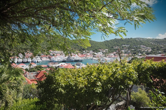 Gustavia Views