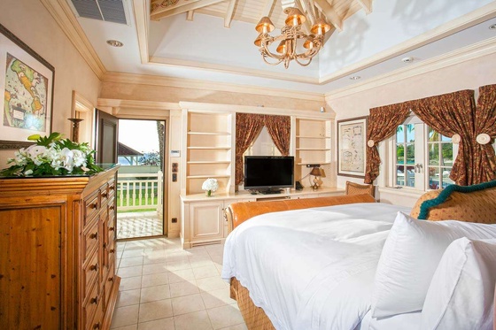 Chateau des Palmiers