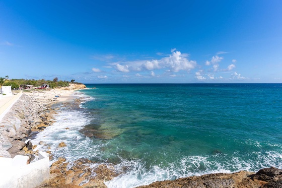 Etoile de Mer