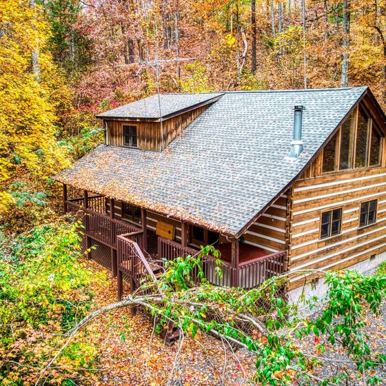 View of cabin if you're really tall