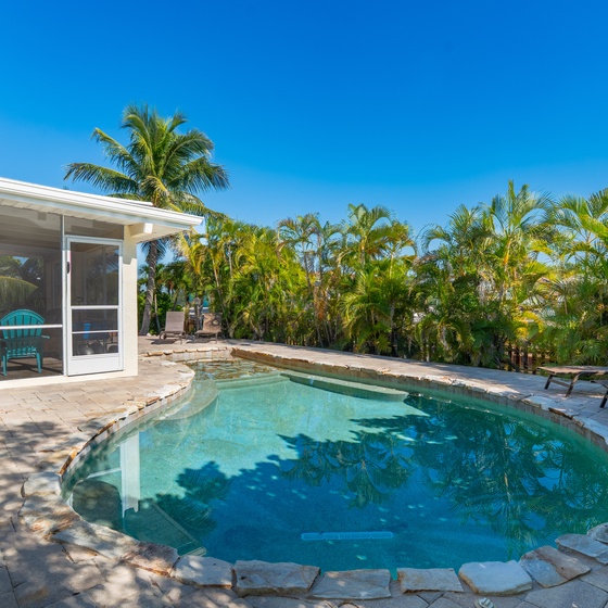 Take a dip in this tropical paradise pool.