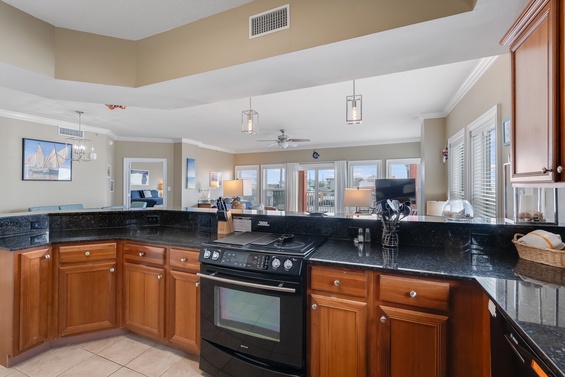 Modern Gourmet Kitchen