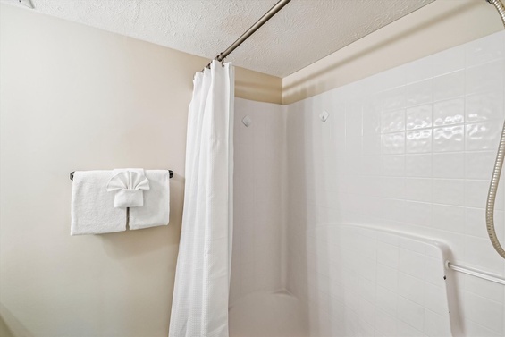 Elegant Spa-Like Bath