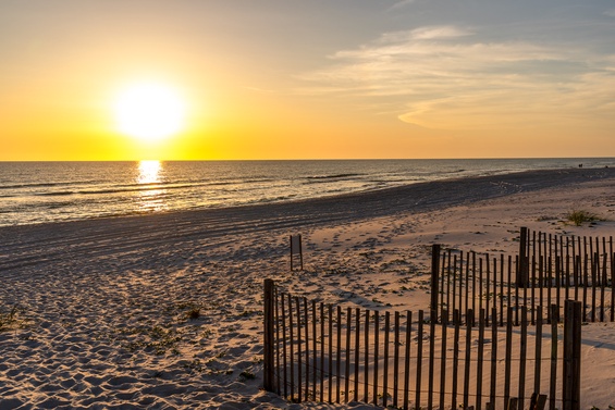 Golden Gulf Horizons