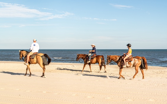 Gulf Coast Adventure Park