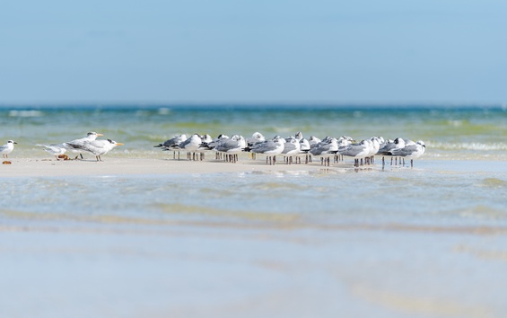 Gulf Coast Adventure Park