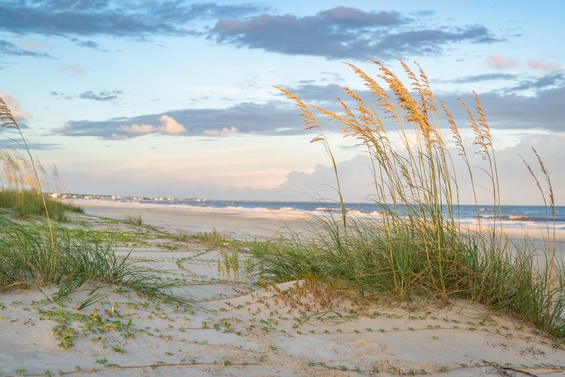 Gulf Coast Adventure Park