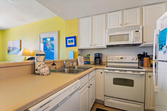 Modern Chef’s Kitchen