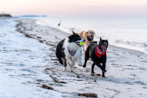 Gulf Coast Adventure Park