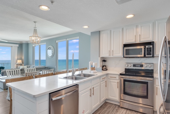 Modern Gourmet Kitchen