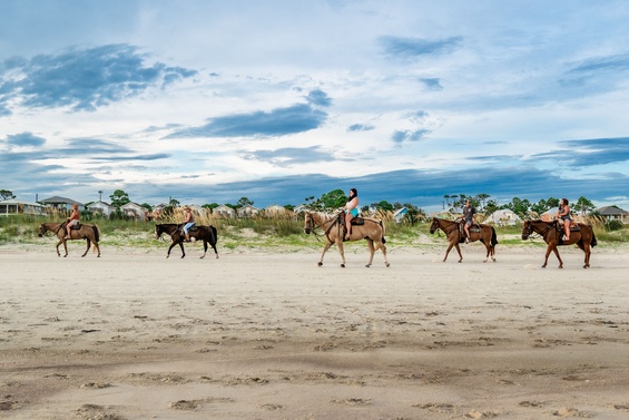 Gulf Coast Adventure Park