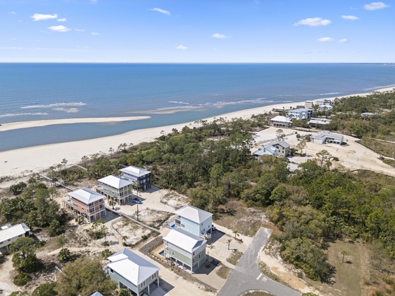 Breathtaking Bird’s-Eye Beauty