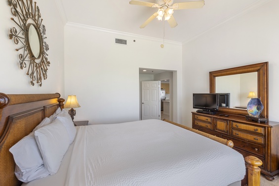 Luxurious master suite