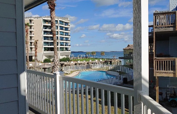 Bay Tree B1314