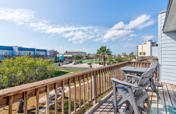 Bay Tree B6