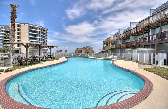 Bay Tree B4