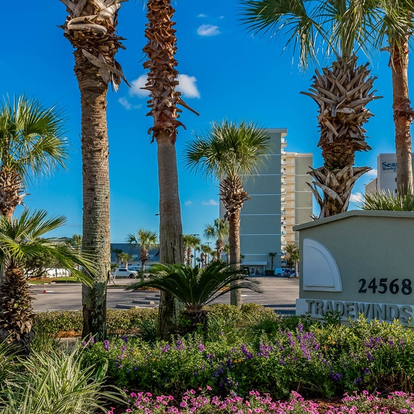 Condos For Rent In Orange Beach Alabama By Owner