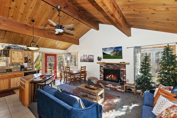 Living Room and Fireplace