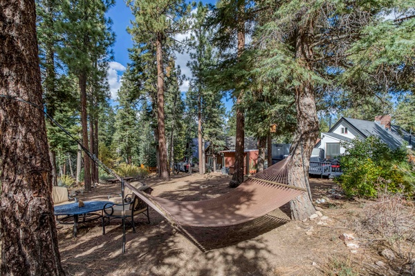 Hammock in pine trees