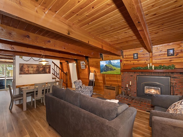 Living Room and Fireplace