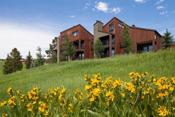 The property sits on a gentle hillside, framed by evergreens and vibrant wildflowers in the foreground. Modern wood-sided buildings feature balconies overlooking the surrounding natural landscape.