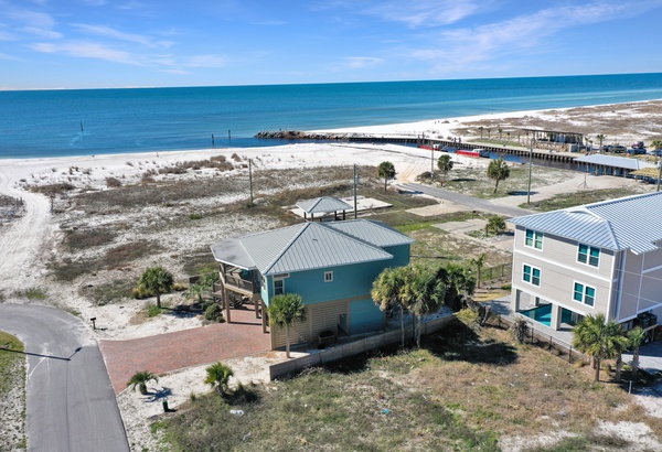 The Blue Turtle | Visit Florida Beaches