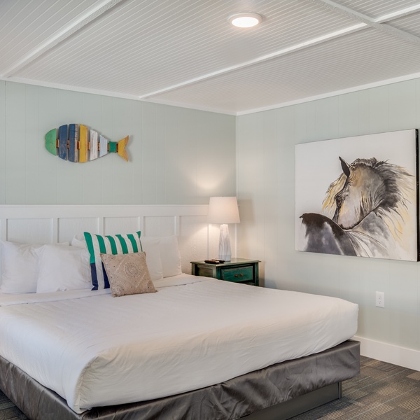 Featured Property TH05: Mahi Mahi Room
