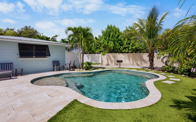 Palm Trees and Manatees 10