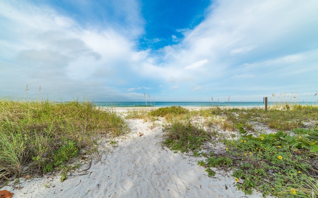 Captain Ron's Beach Pad 3